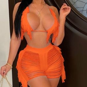 Crochet Ripped Halter Crop Top & Cover Up Shorts Set